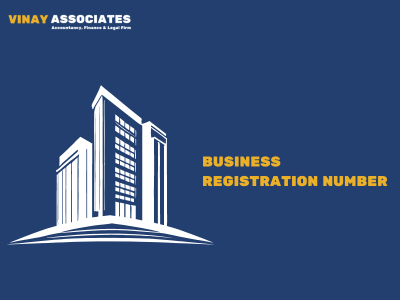 Business Registration Number service in India — Vinay Associates